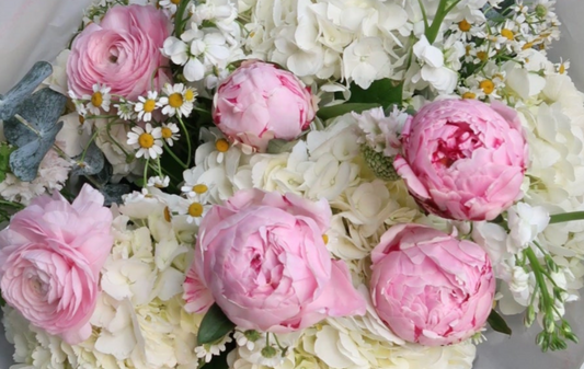 Blush Cloud by Bisou